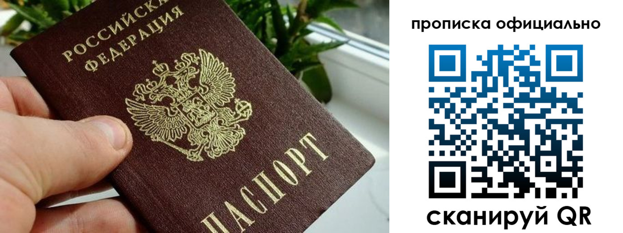 прописка поиск в Черняховске